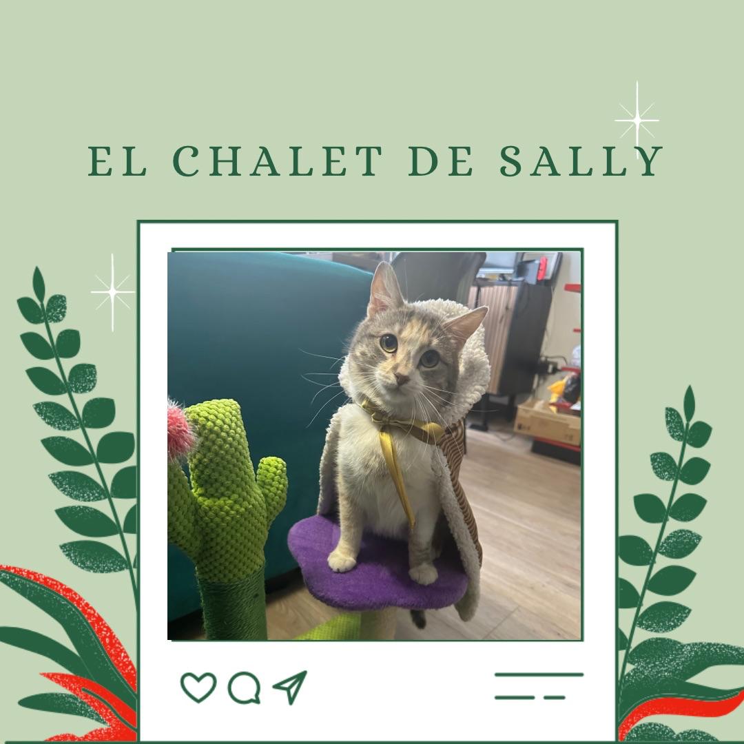 Chalet de Sally